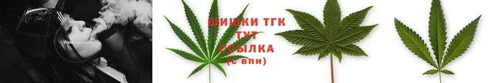 ГАЛЛЮЦИНОГЕННЫЕ ГРИБЫ Балахна