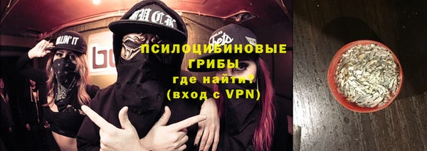 ГАЛЛЮЦИНОГЕННЫЕ ГРИБЫ Балахна