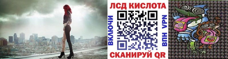 где купить   Болгар  сайты даркнета формула  Наркотические марки 1500мкг 